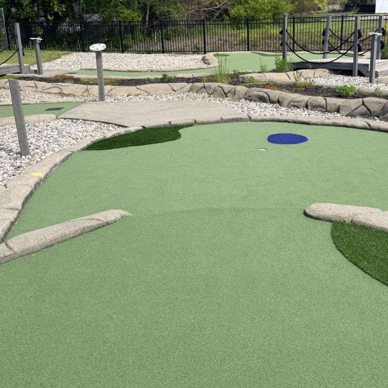 Simulated rough beside a mini golf hole