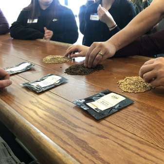 Participants learning about beer ingredients